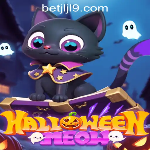HalloweenMeow: Dive Into the Spooky Fun